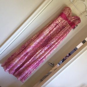 BcBG pink and gold Dress